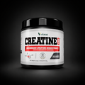 CREATINA  MICRONIZADA MONOHIDRATADA OFERTA