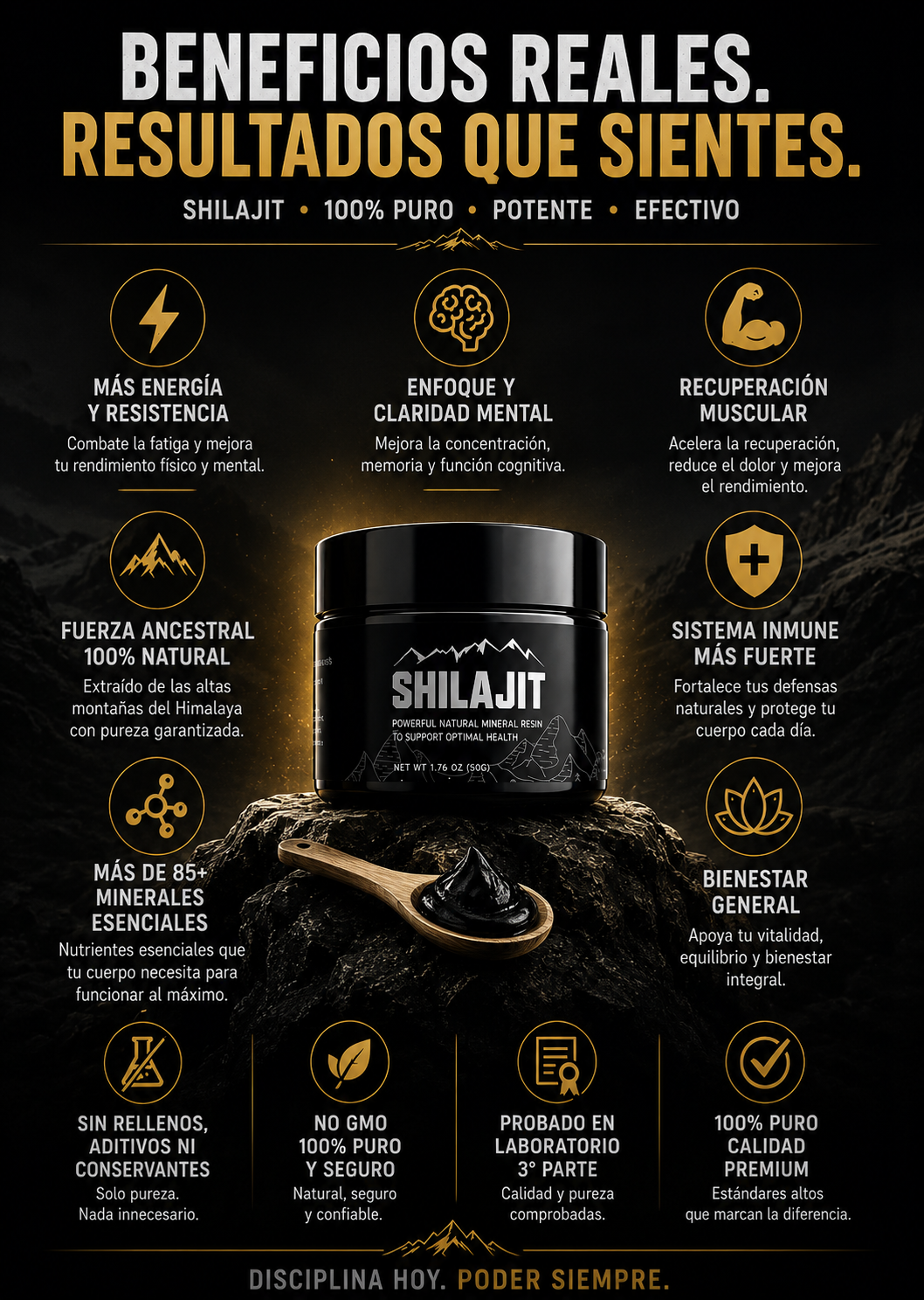 Shilajit Himalaya Resina 85+ Minerales